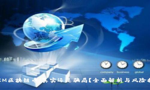 ISCM区块链币：真实还是骗局？全面解析与风险提示