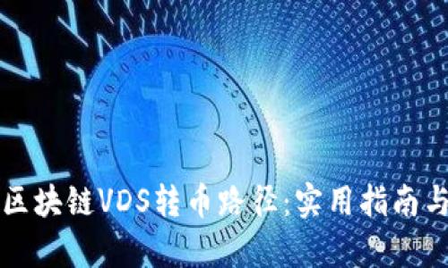 如何查询区块链VDS转币路径：实用指南与步骤解析