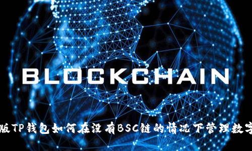 电脑版TP钱包如何在没有BSC链的情况下管理数字资产