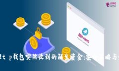 如何处理t p钱包突然收到的陌生资金：安全策略