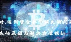 在使用TP钱包时，遇到资金异常消失的问题，该如