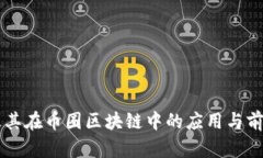IPFS及其在币圈区块链中的应用与前景分析