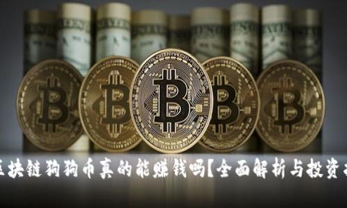 : 区块链狗狗币真的能赚钱吗？全面解析与投资指南