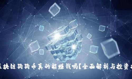 : 区块链狗狗币真的能赚钱吗？全面解析与投资指南