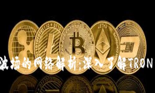  TP钱包波场的网络解析：深入了解TRON生态系统