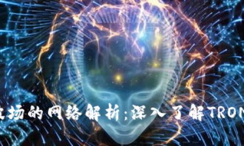  TP钱包波场的网络解析：深入了解TRON生态系统