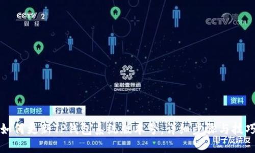 如何更新TP钱包系统版本号：详细步骤与技巧