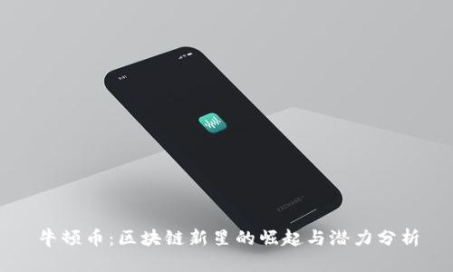 牛顿币：区块链新星的崛起与潜力分析