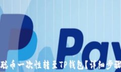 如何将中本聪币一次性转至TP钱包？详细步骤及注