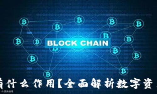   
TP钱包上的币有什么作用？全面解析数字资产的价值与应用