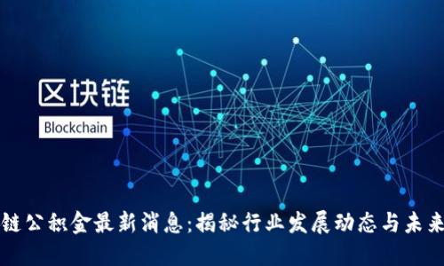 区块链公积金最新消息：揭秘行业发展动态与未来趋势