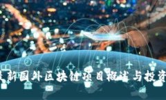 2023年最新国外区块链项目概述与投资前景分析