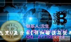 TP钱包黑U是什么？详细解读及使用指南