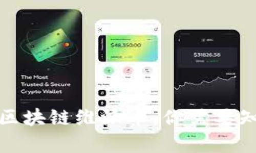 全面解析区块链维派币：你需要知道的一切