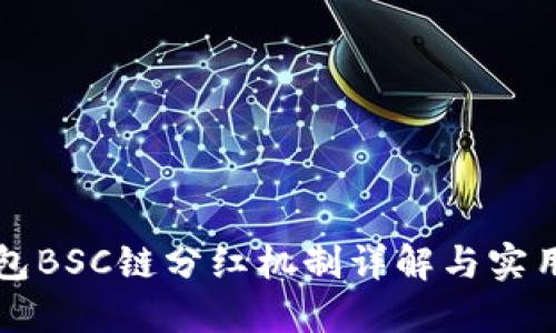 tP钱包BSC链分红机制详解与实用指南