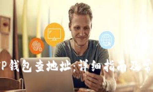  如何使用TP钱包查地址：详细指南及常见问题解答