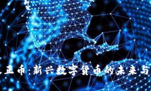 区块链天正币：新兴数字货币的未来与潜力分析