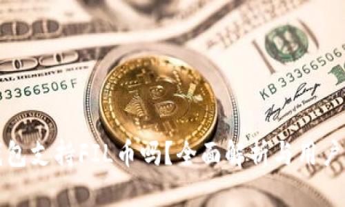 tP钱包支持FIL币吗？全面解析与用户指南