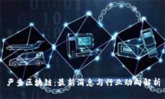 严查区块链：最新消息与行业动向解析