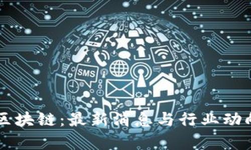 严查区块链：最新消息与行业动向解析