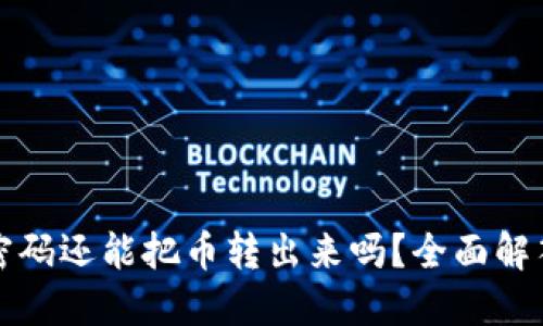 TP钱包忘记密码还能把币转出来吗？全面解答与解决方案
