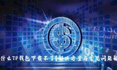 为什么TP钱包下载不了？解决方案与常见问题解析