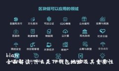 bian全面解读：什么是TP钱包地址及其重要性