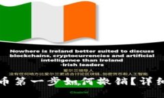 优质TP钱包卖币第一步如何撤销？详细操作指南