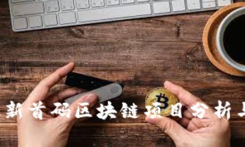 2023年最新首码区块链项目分析与投资指南