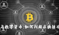 区块链技术与数字货币：如何判断区块链项目是
