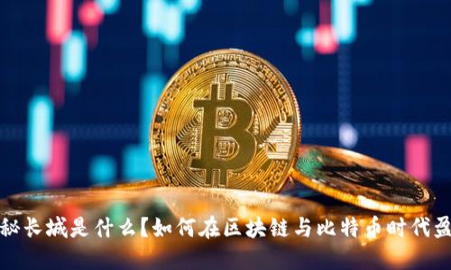 揭秘长城是什么？如何在区块链与比特币时代盈利
