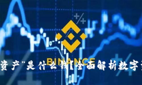 思考一个且的

TP钱包中的“我的资产”是什么钱？全面解析数字资产的种类及应用