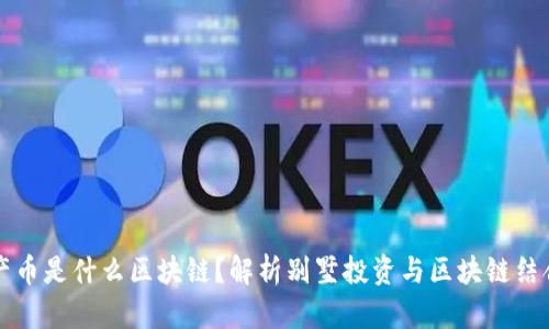 买别墅产币是什么区块链？解析别墅投资与区块链结合的未来