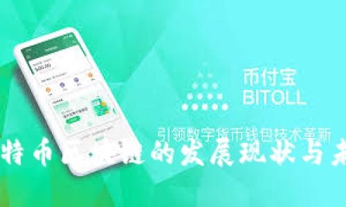 印度比特币区块链的发展现状与未来展望