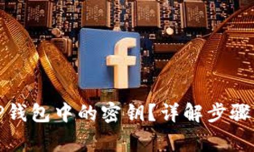 如何查看TP钱包中的密钥？详解步骤与注意事项