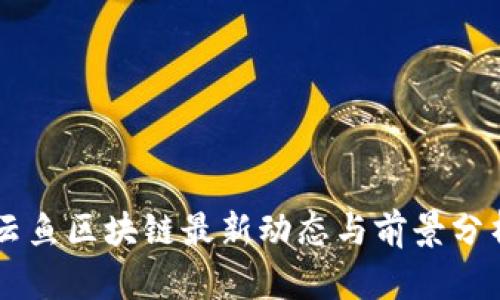 云鱼区块链最新动态与前景分析