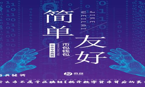 与关键词

什么币不属于区块链？揭开数字货币背后的真相