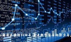 深入解析区块链SKW币：未