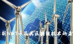 深入解析NWT币及其区块链
