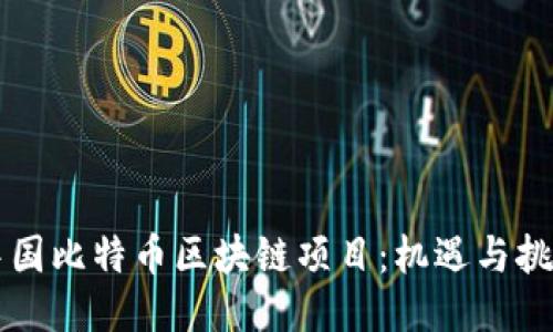 中国比特币区块链项目：机遇与挑战