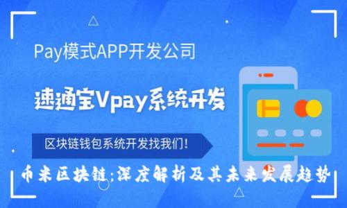币米区块链：深度解析及其未来发展趋势