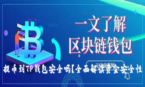 提币到TP钱包安全吗？全面解读资金安全性