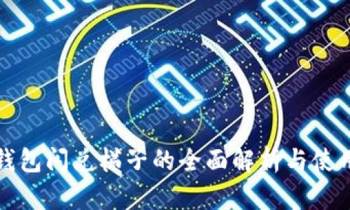 : TP钱包闪兑梯子的全面解析与使用指南