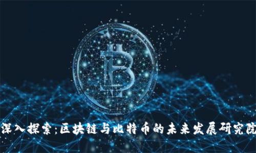 深入探索：区块链与比特币的未来发展研究院