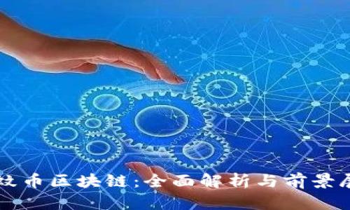 蚂蚊币区块链：全面解析与前景展望