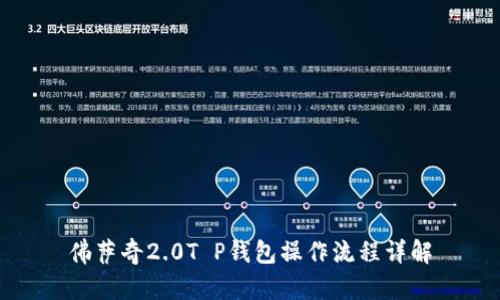 佛萨奇2.0T P钱包操作流程详解
