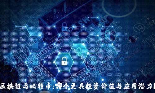   
区块链与比特币：哪个更具投资价值与应用潜力？