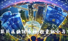 2024年新兴区块链币种：投