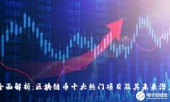 全面解析：区块链币十大热门项目及其未来潜力