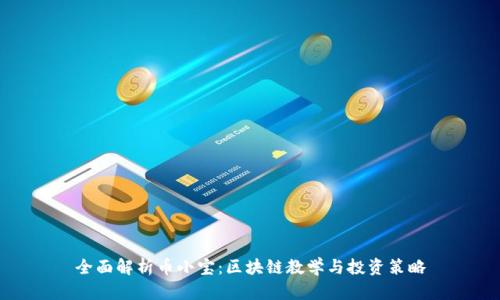 全面解析币小宝：区块链教学与投资策略